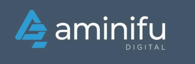 amini Digital Marketing Agency