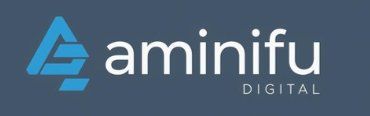 amini Digital Marketing Agency